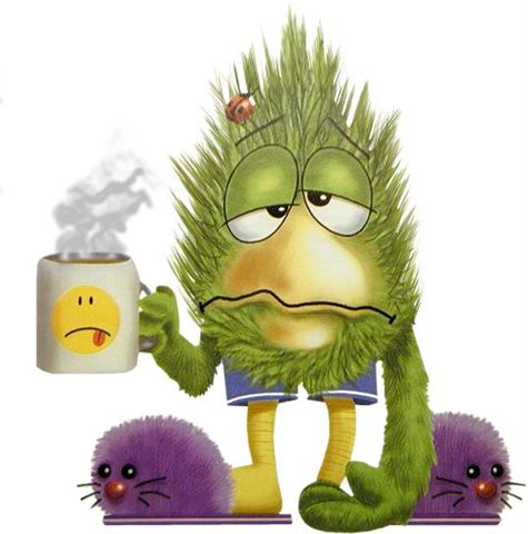 buongiorno.jpg