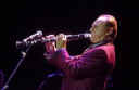 arbore_clarinetto.jpg (8793 byte)