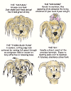 Bad_Hair_day.gif (102293 byte)