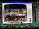 pescasseroli0056.JPG (121295 byte)