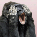 screaming_gorilla.gif (52505 byte)