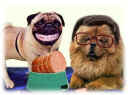 berlusconi-prodi.jpg (34979 byte)