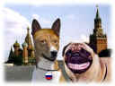 berlusconi-putin.jpg (34908 byte)